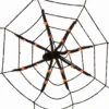 Spinneweb Zwart + Spin