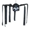 Black Shaking Spider
