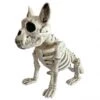 SKELETON DOG