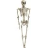 Halloween Figure Skeleton