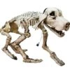 Halloween Skeleton Dog, 71x40x25cm