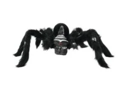 Spider REAL, Black Coat